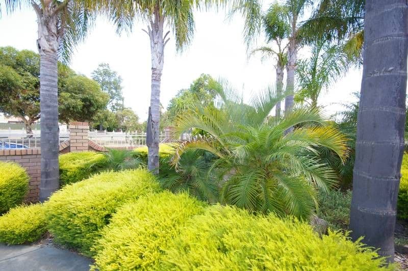 36 Coronata Way, MIRRABOOKA WA 6061, Mirrabooka - Thumbnail 4