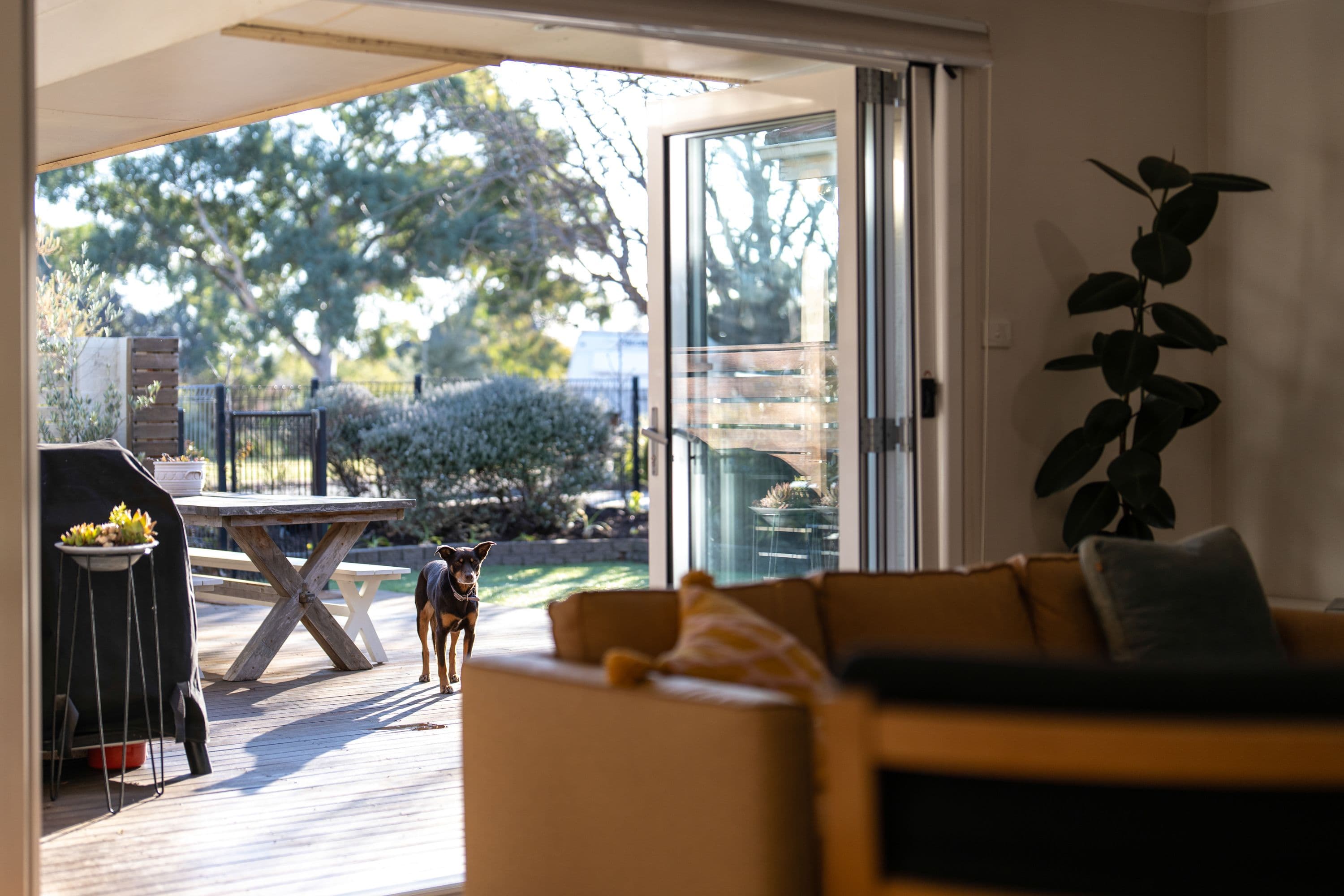 5 Dawson Street, Curtin ACT 2605, Curtin - Thumbnail 2