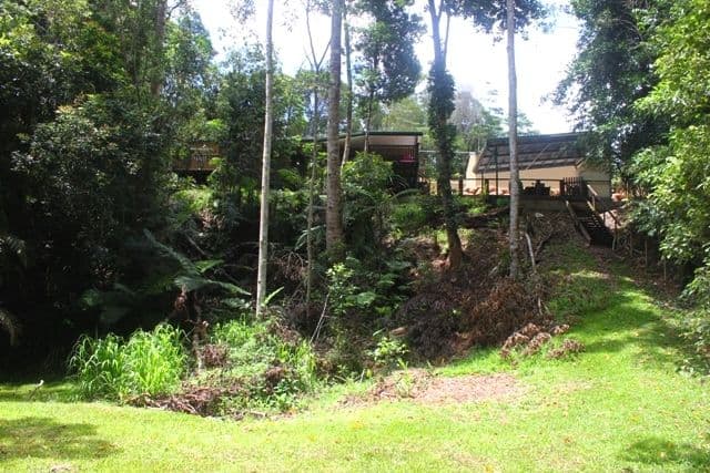 8 Bangalow Place, Kuranda QLD 4881, Kuranda - Thumbnail 4