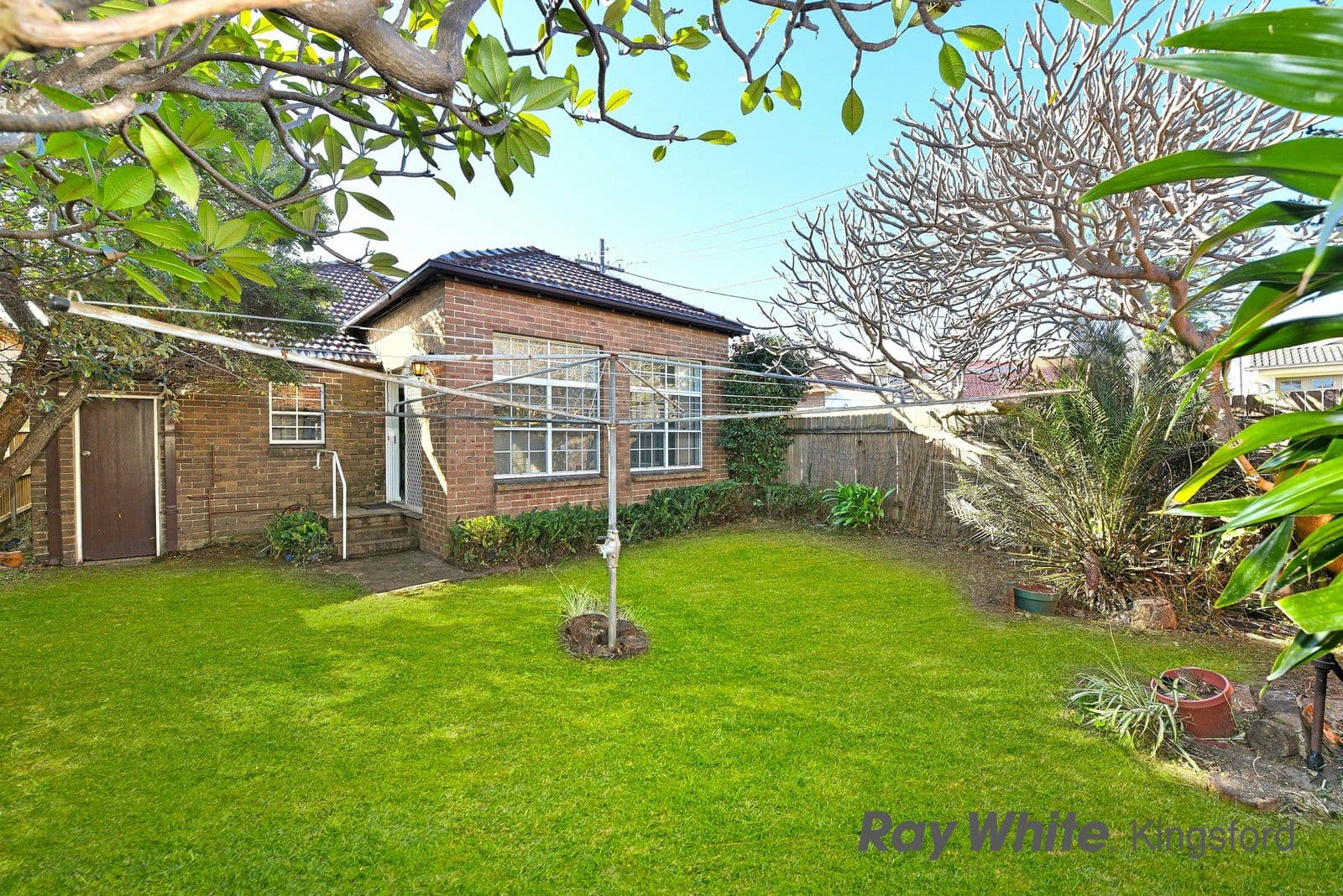 29 Fischer Street, Kingsford NSW 2032, Kingsford - Thumbnail 3