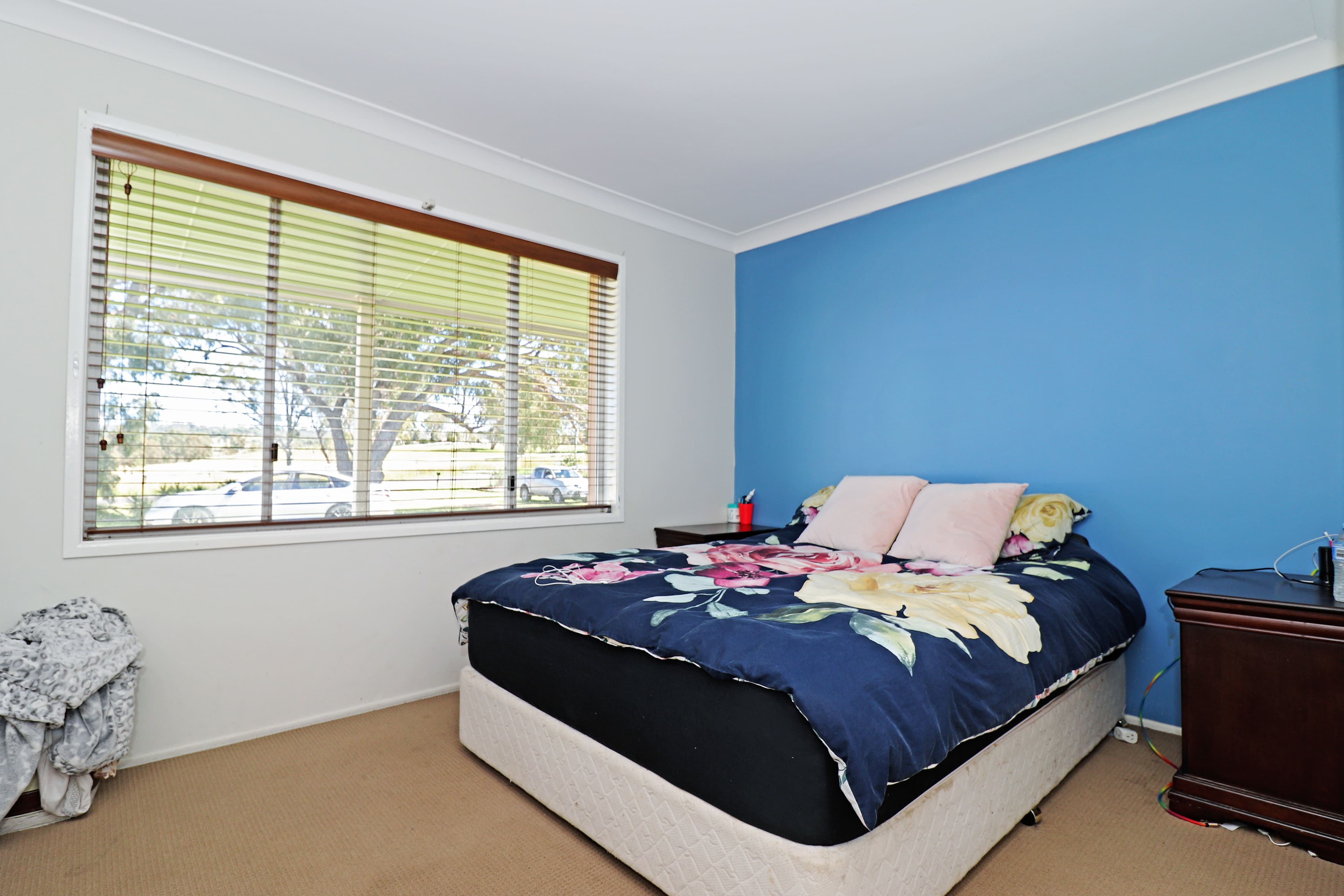 52 Homestead Road, Rosenthal Heights QLD 4370, Rosenthal Heights - Thumbnail 8
