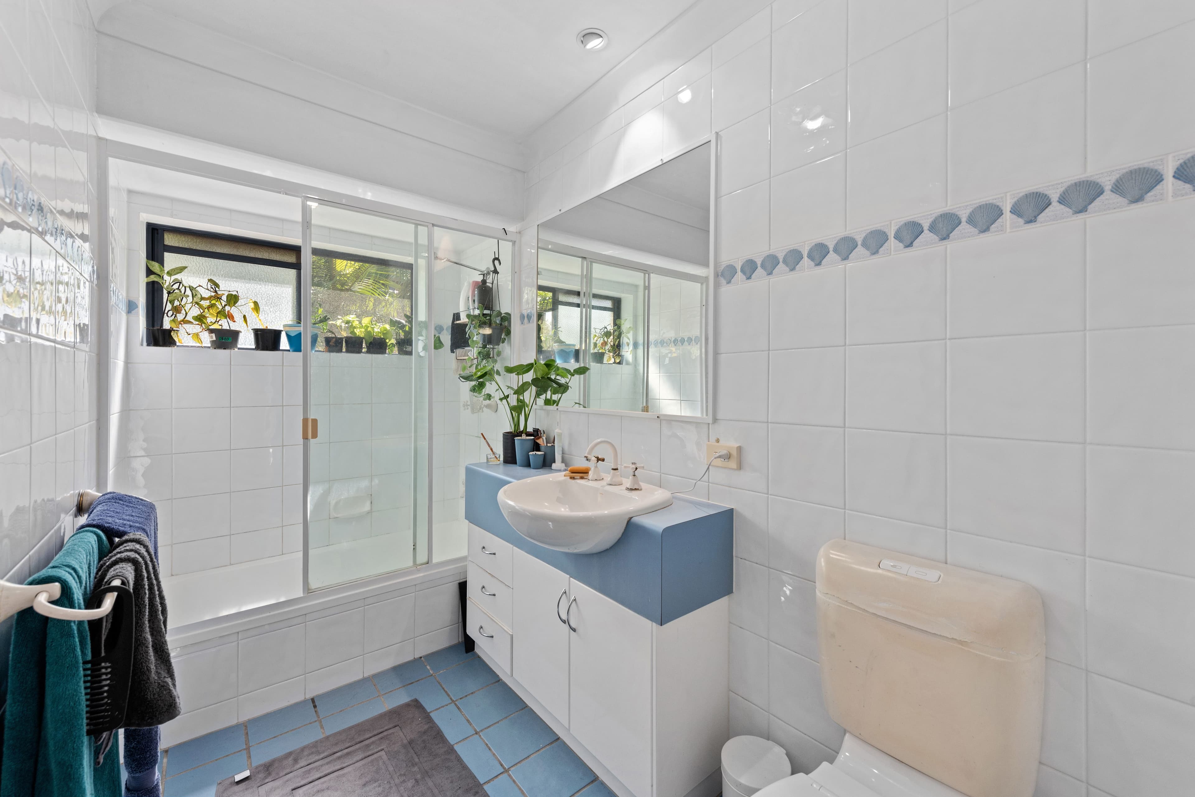 54 York Street, Indooroopilly QLD 4068, Indooroopilly - Thumbnail 6