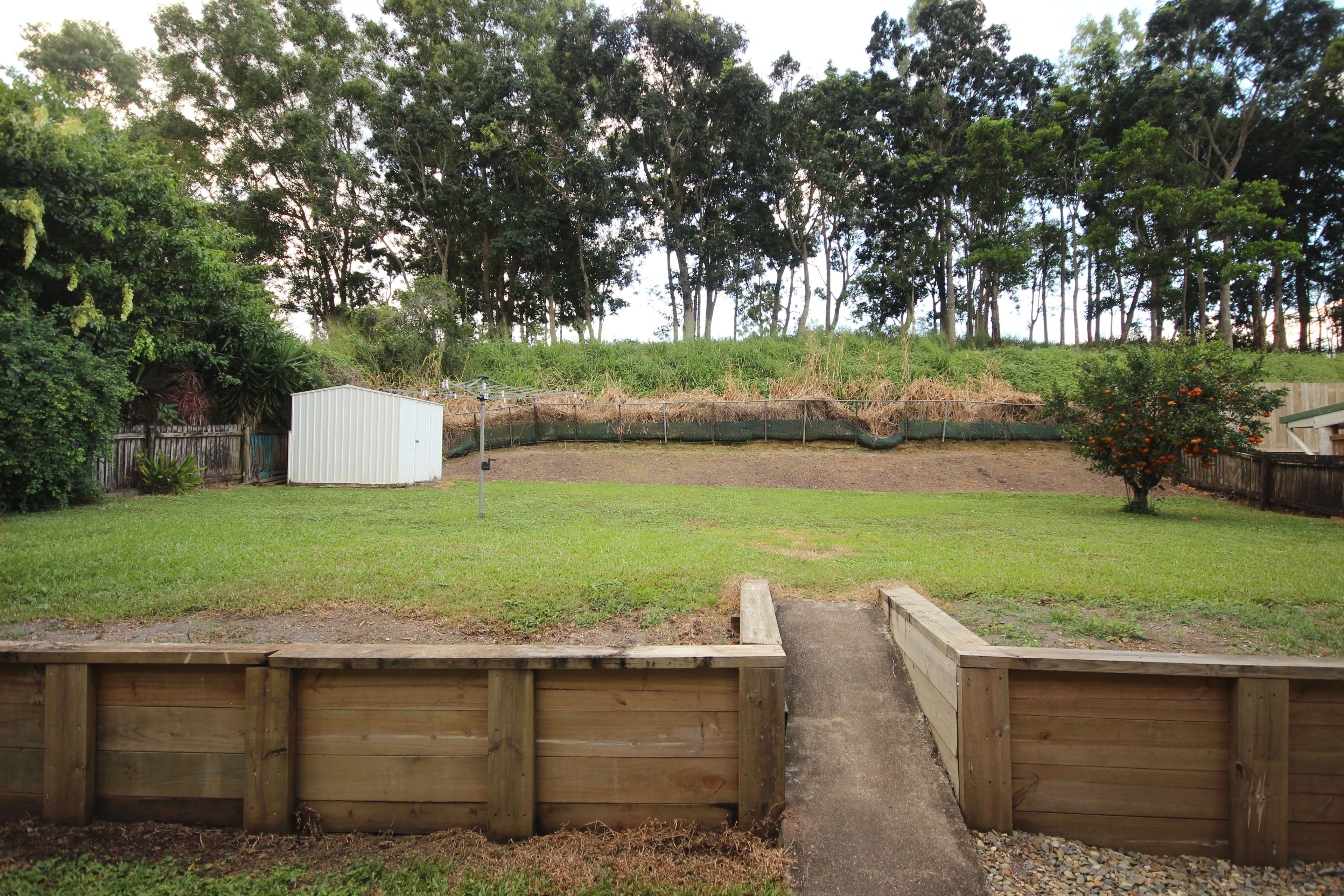 8 Halloran Close, Gordonvale QLD 4865, Gordonvale - Thumbnail 4