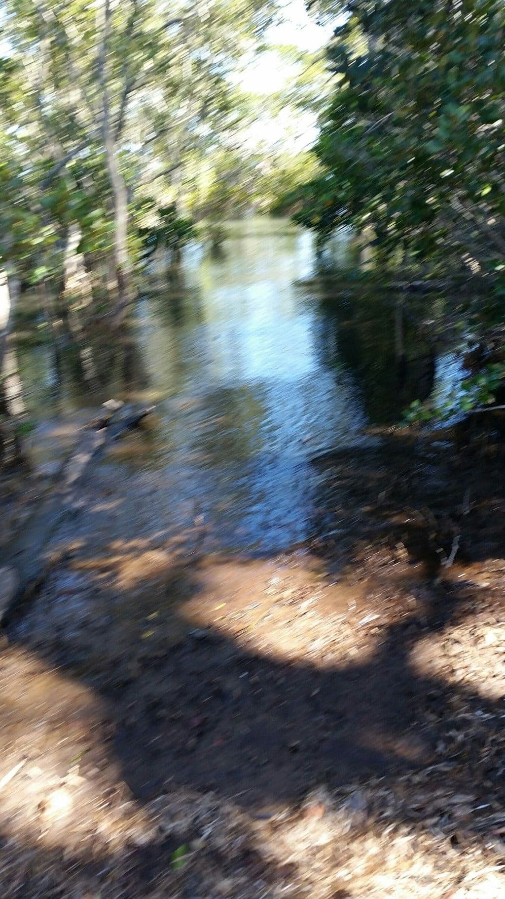6 Hogan Court, Russell Island QLD 4184, Russell Island - Thumbnail 6
