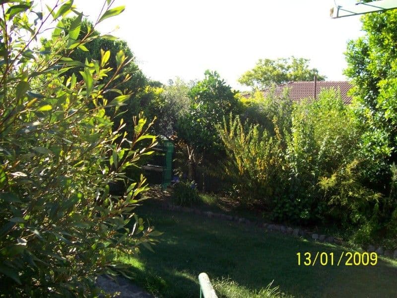 33 Brushtail Crescent, DOOLANDELLA QLD 4077, Doolandella - Thumbnail 7