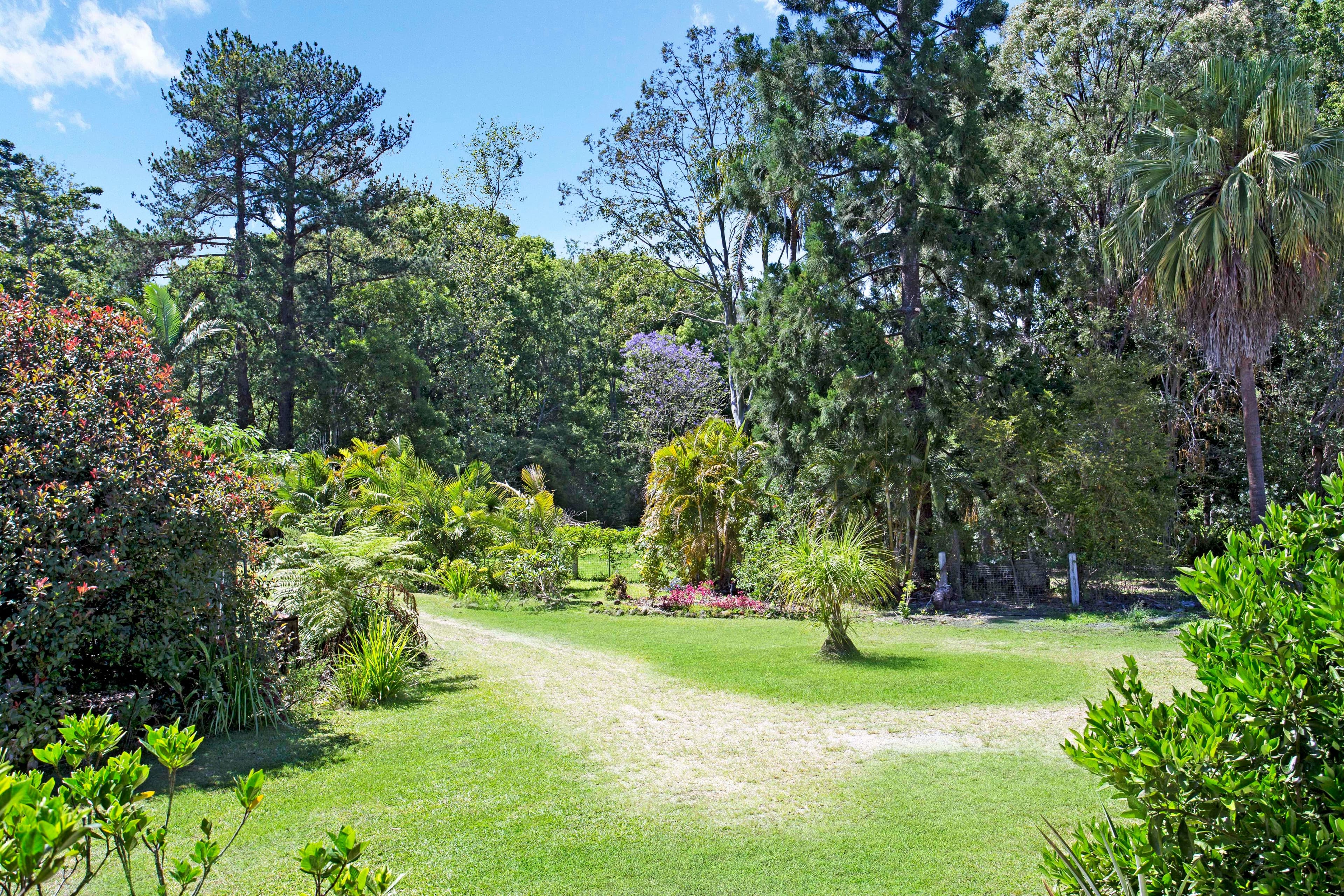 6 Sawmill Place, Tyalgum NSW 2484, Tyalgum - Thumbnail 2