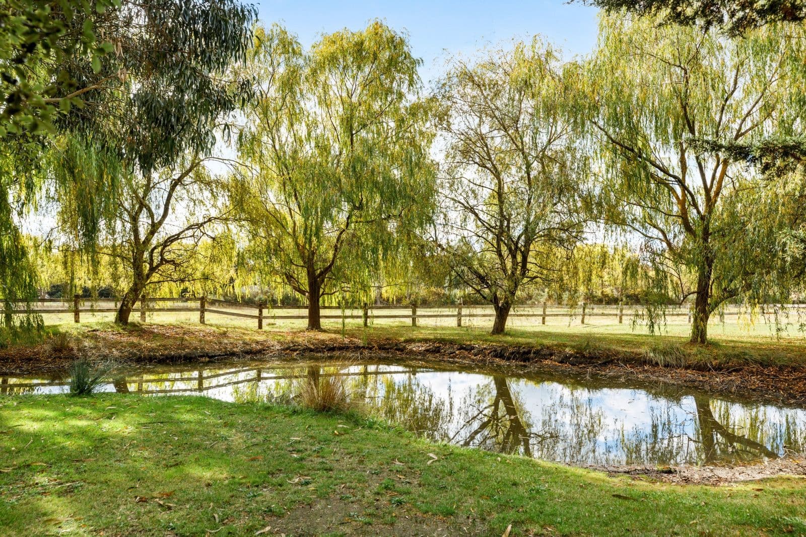 146 Murphys Road, Kyneton VIC 3444, Kyneton - Thumbnail 3