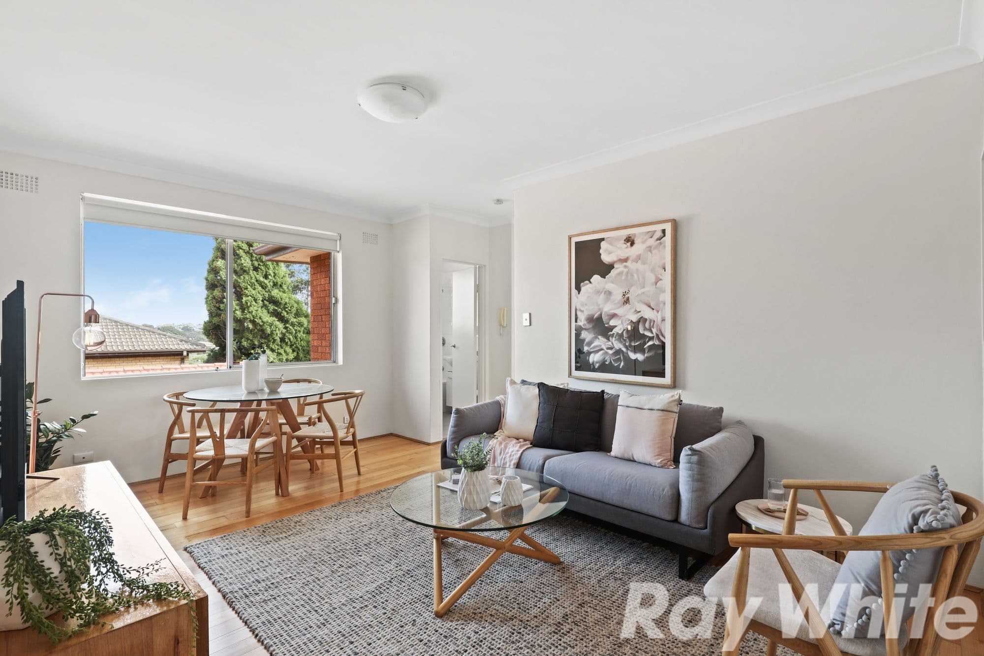 31 Dulwich Street, Dulwich Hill NSW 2203, Dulwich Hill - Thumbnail 2