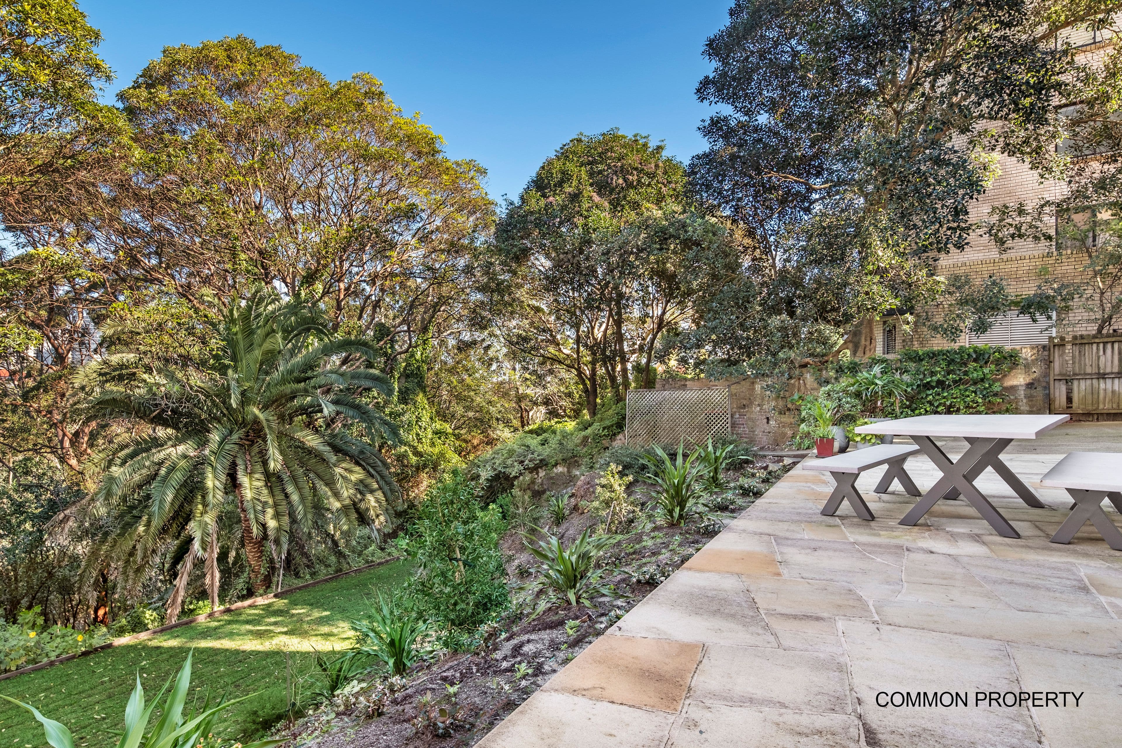 22 Bellevue Road, Bellevue Hill NSW 2023, Bellevue Hill - Thumbnail 6