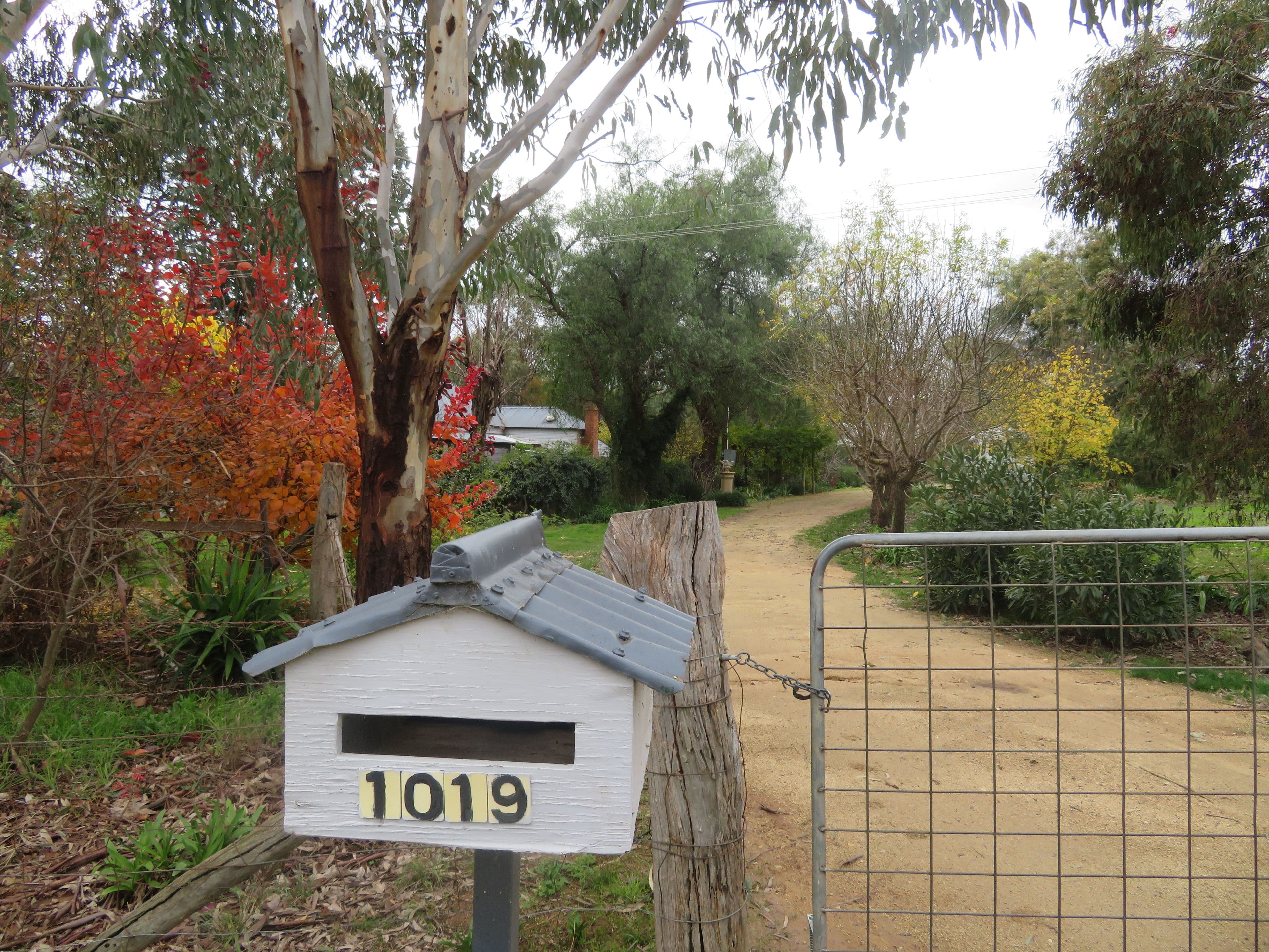 1019 Darbalara Road, Gundagai NSW 2722, Darbalara - Thumbnail 2