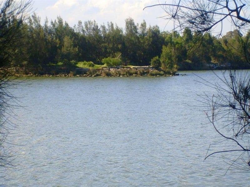 73 Elliott Street, Gin Gin, QLD, 4671, Gin Gin - Thumbnail 3