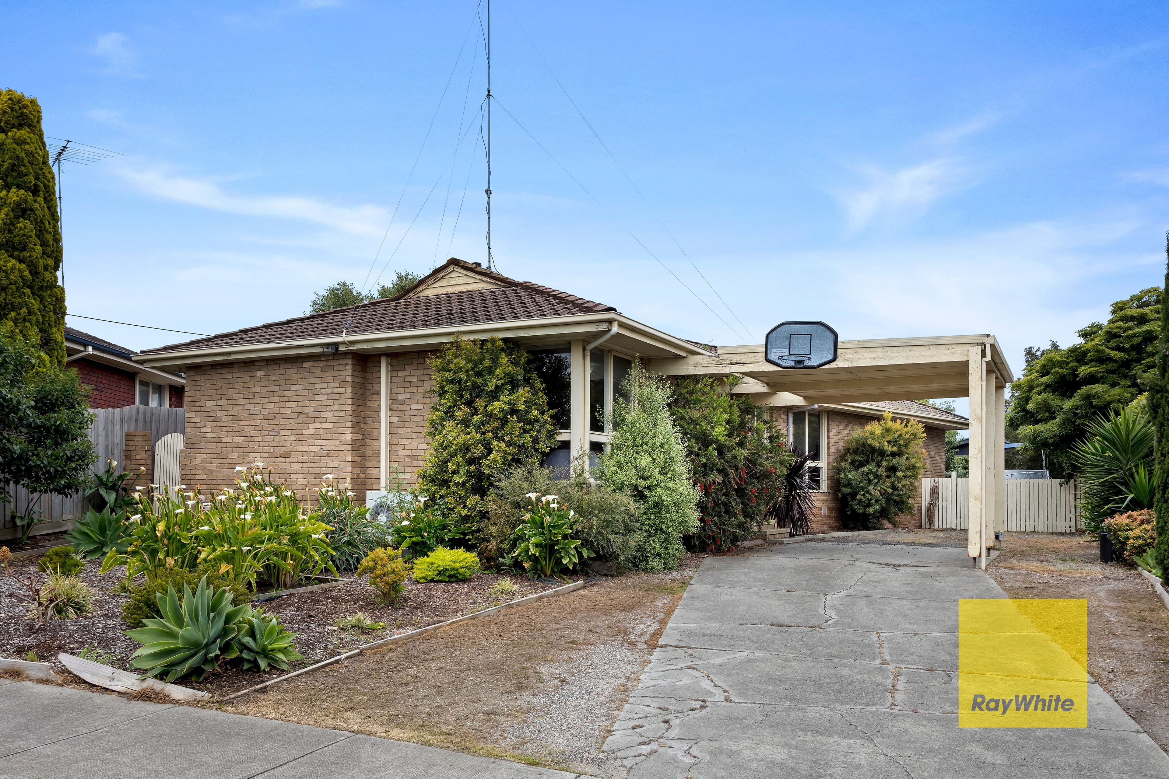 31 Cresta Street, Leopold VIC 3224, Leopold - Image 1
