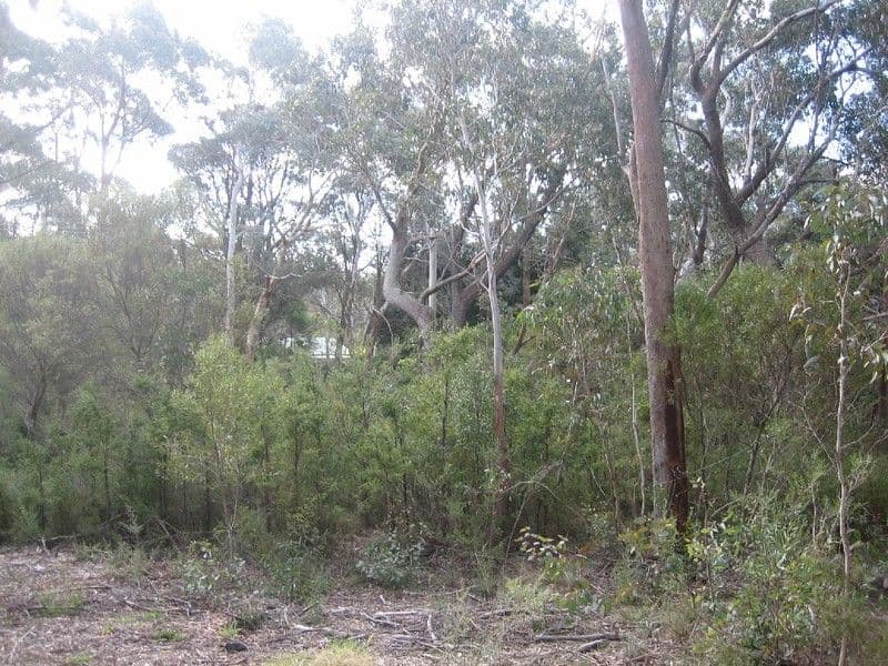 31 Second Street, BLACKHEATH NSW 2785, Blackheath - Thumbnail 3