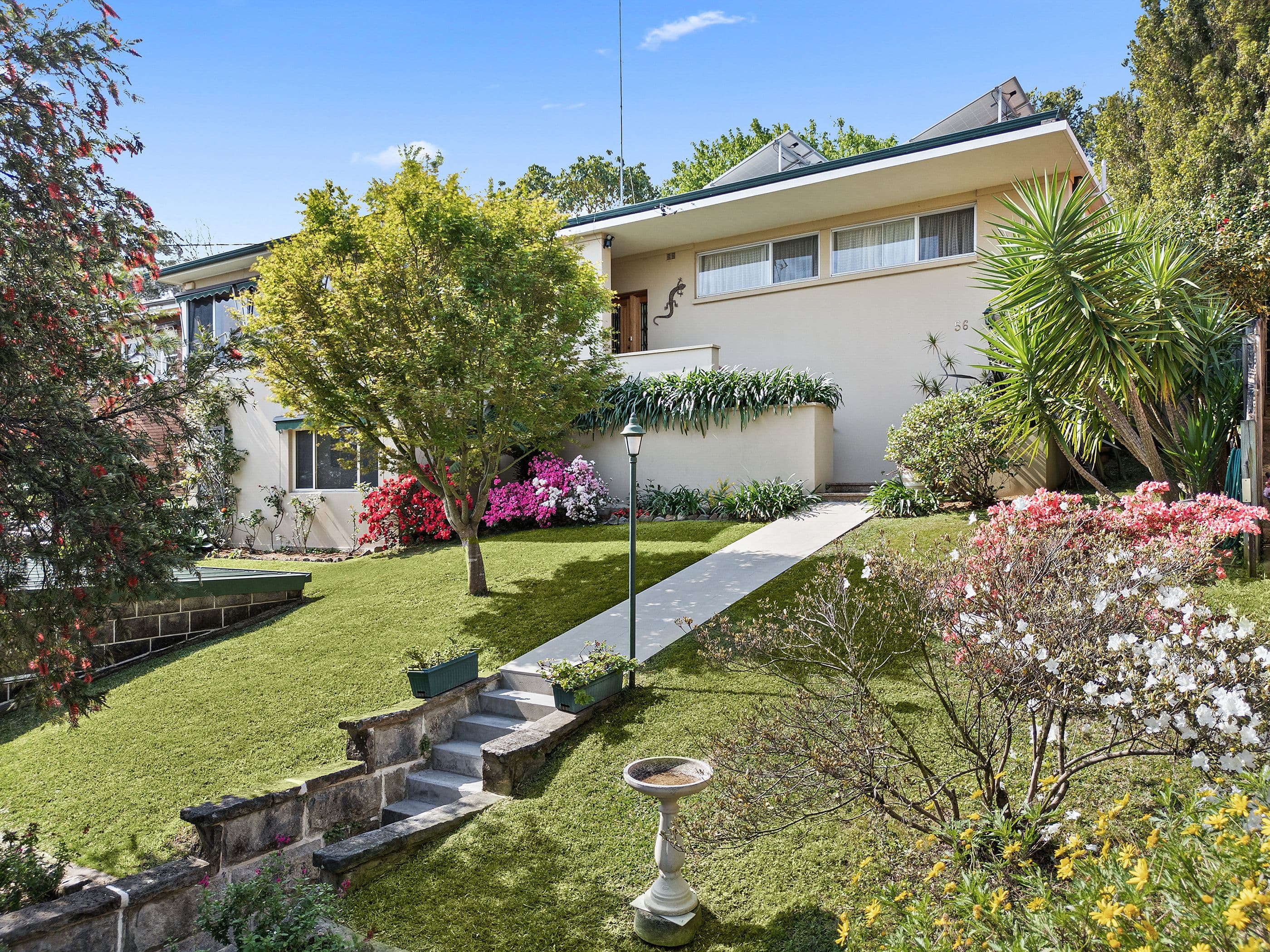 56 Pacific Avenue, Penshurst NSW 2222, Penshurst - Image 1
