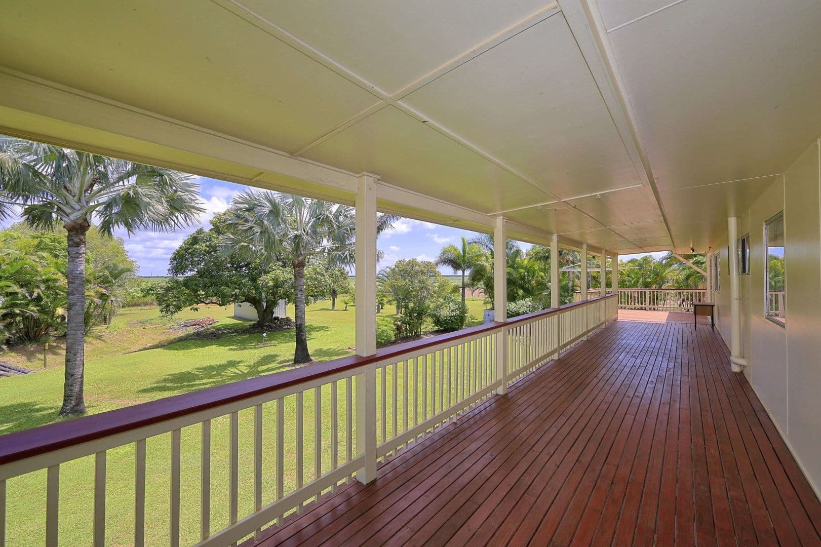 738 Clayton Road, Alloway QLD 4670, Alloway - Thumbnail 6