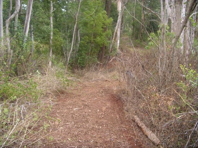 0 Hart, BLACKBUTT QLD 4314, Blackbutt - Thumbnail 3