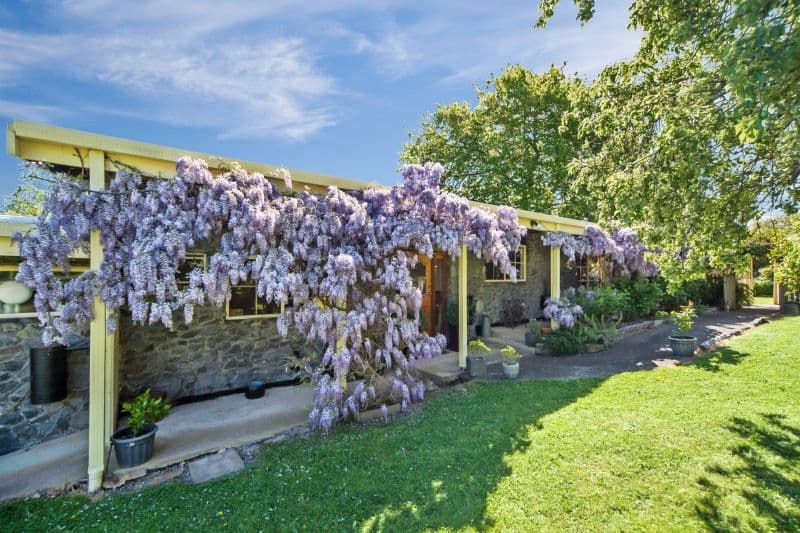203 Inglis Street, Buninyong VIC 3357, Buninyong - Image 1