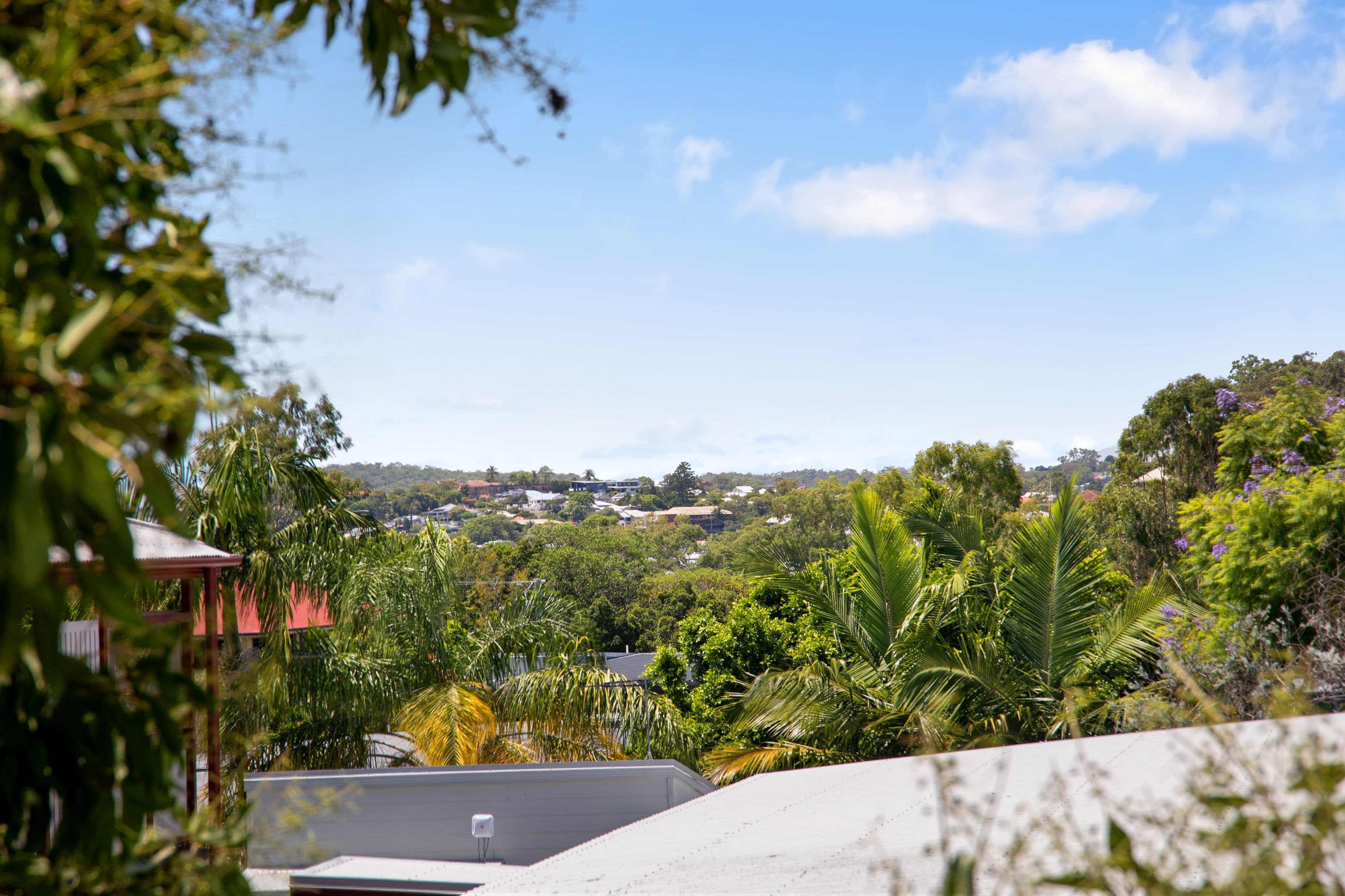 62 Waldheim Street, Annerley QLD 4103, Annerley - Thumbnail 4