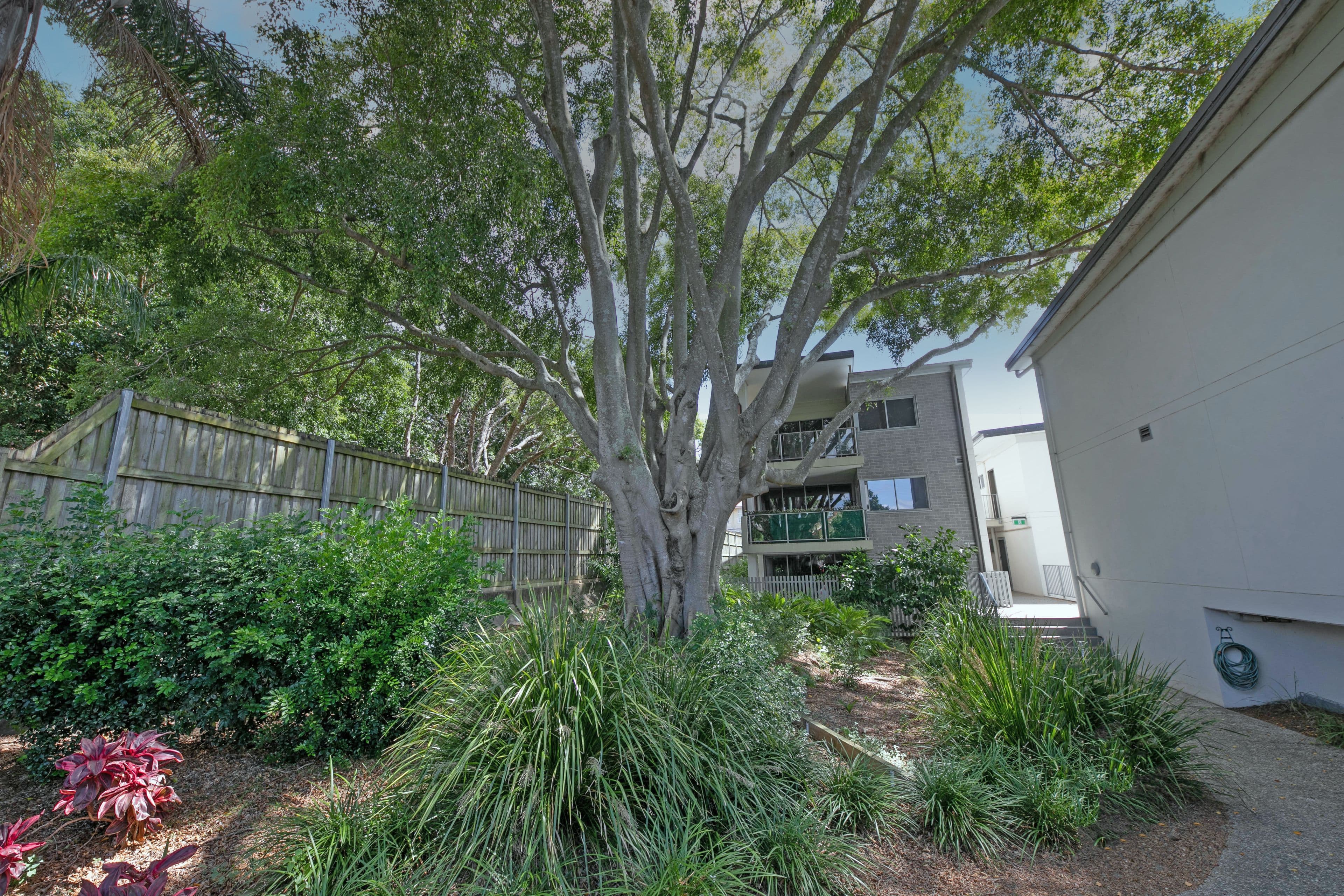 62 Waldheim Street, Annerley QLD 4103, Annerley - Thumbnail 6