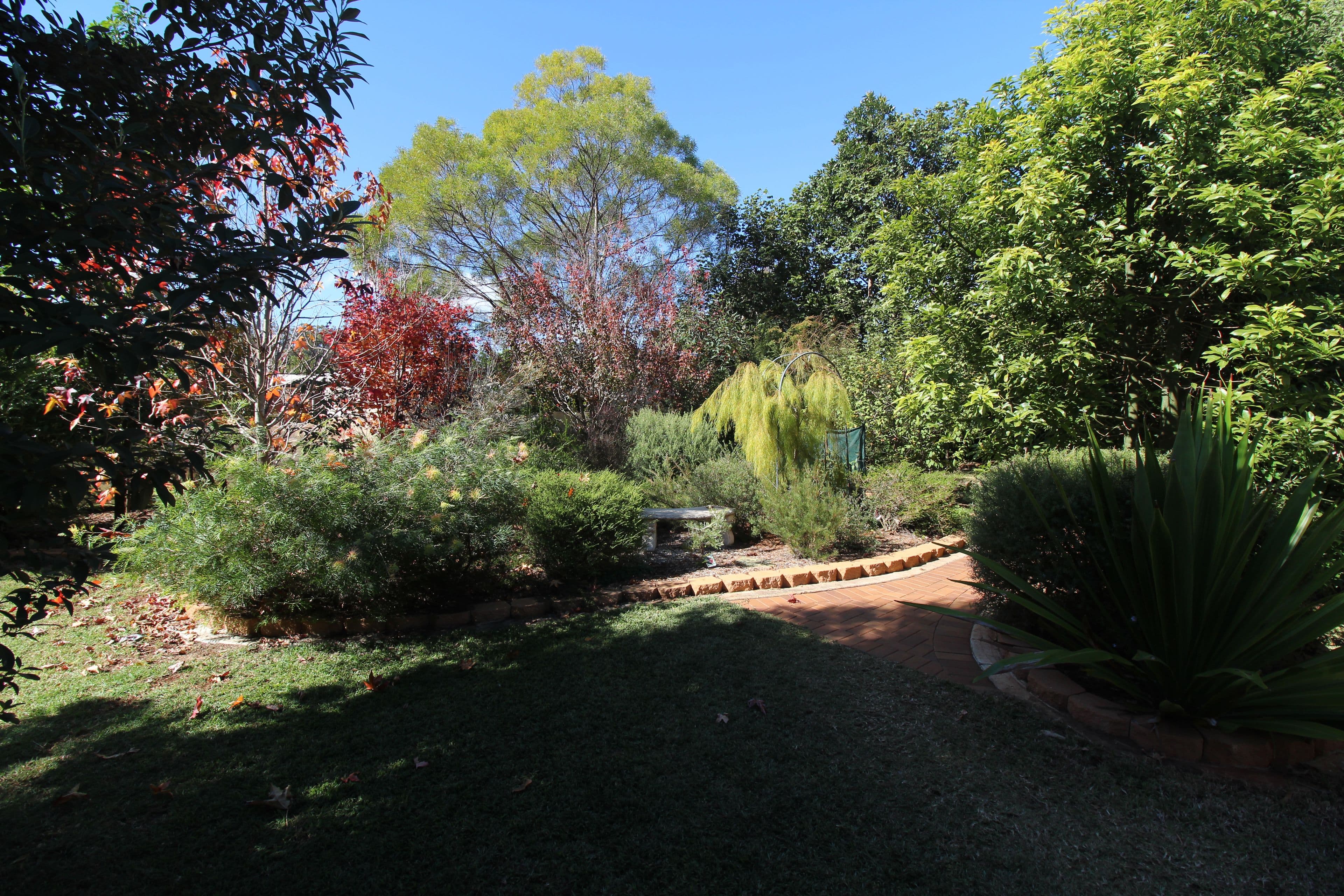 3B Lilliegren Court, Highfields QLD 4352, Highfields - Thumbnail 8