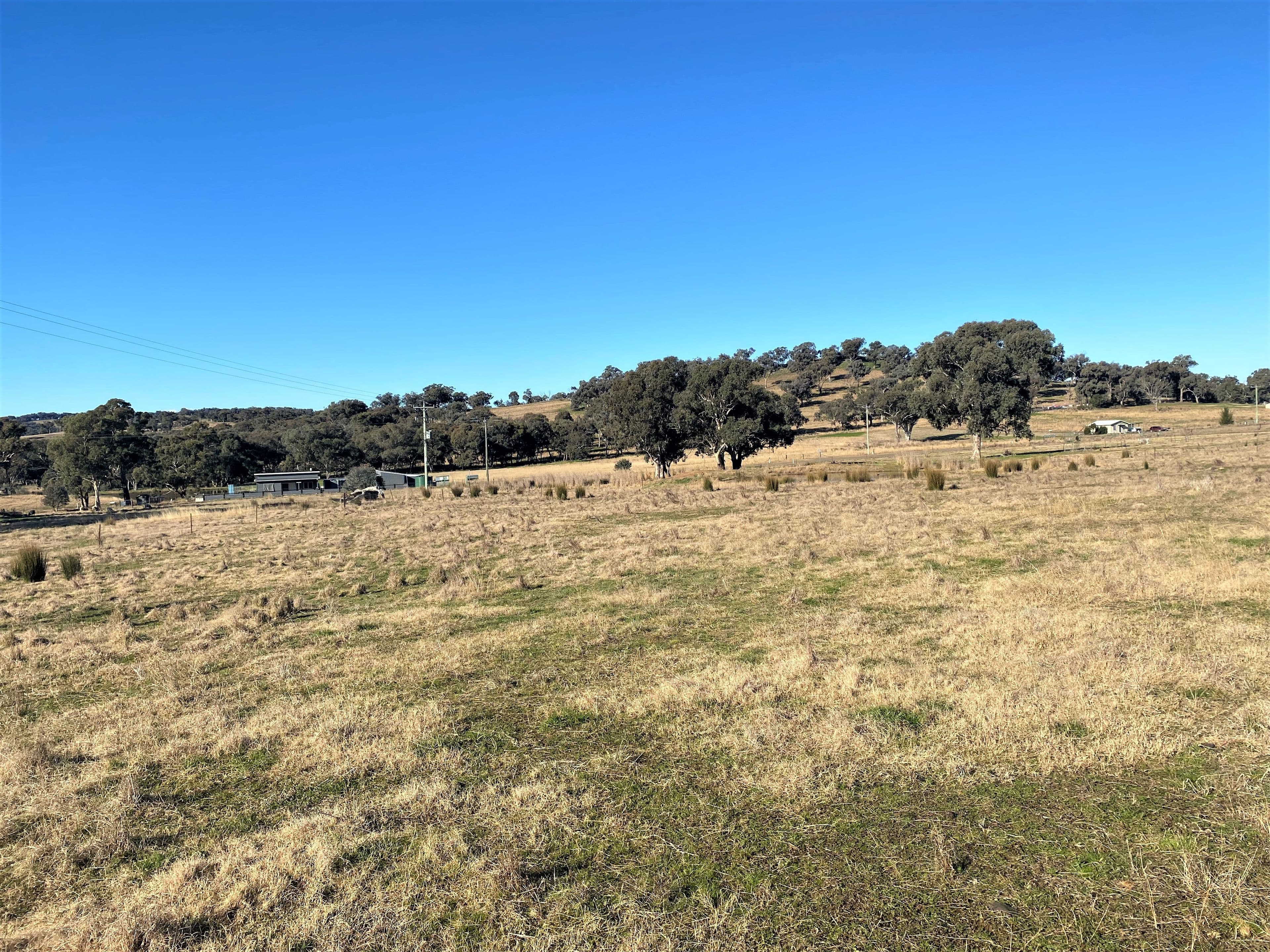 22 McGee Place Murringo Via, Young NSW 2594, Young - Thumbnail 4