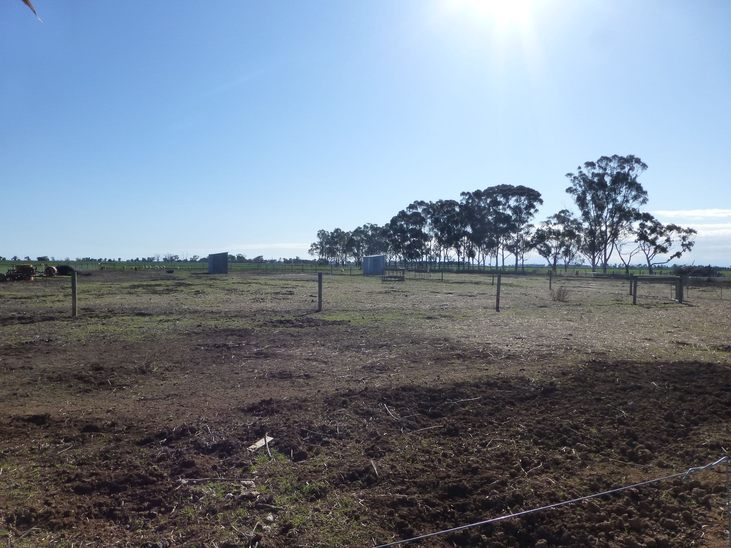 1039 Echuca Nanneella Road, Echuca VIC 3564, Echuca - Thumbnail 5