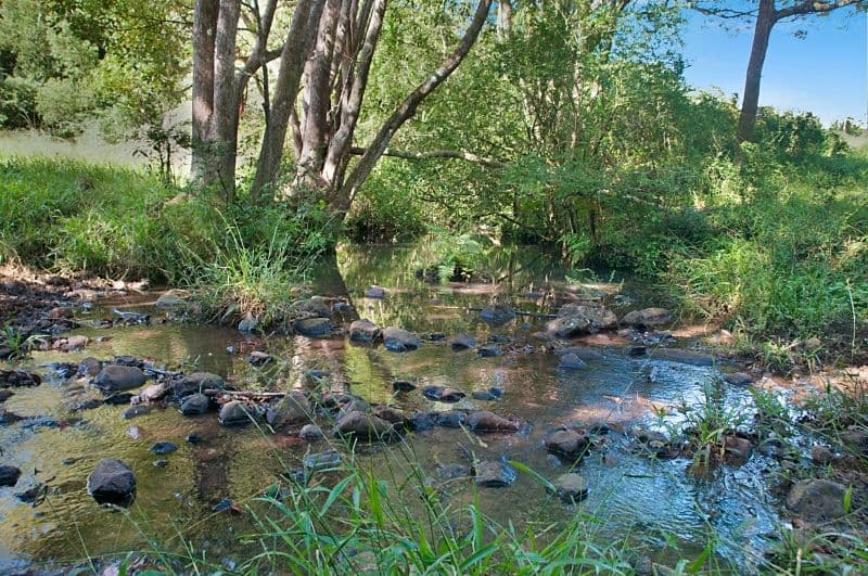96 Granuaille Road, Bangalow - Thumbnail 3