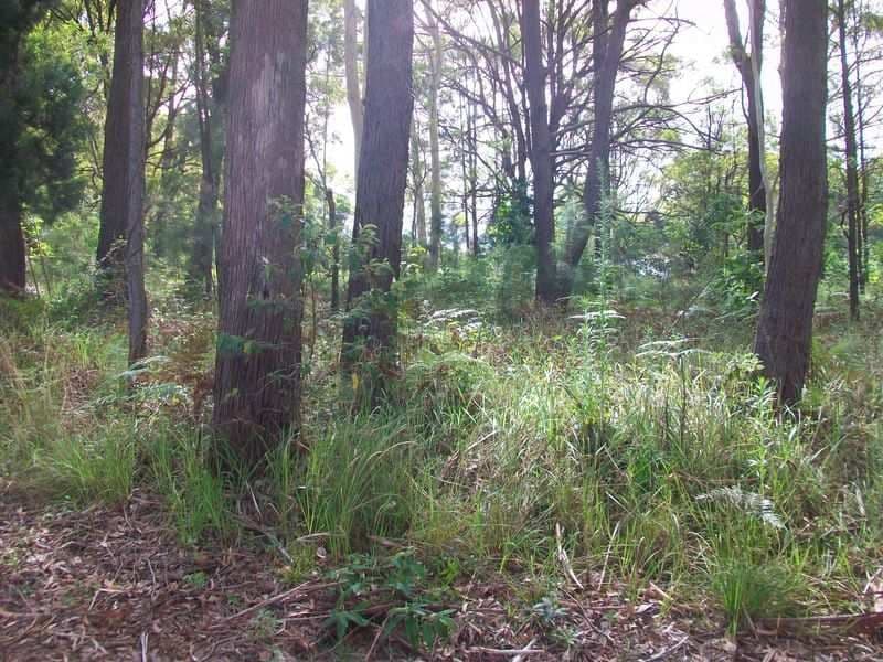 23 Meadstone Street, RUSSELL ISLAND QLD 4184, Russell Island - Thumbnail 2
