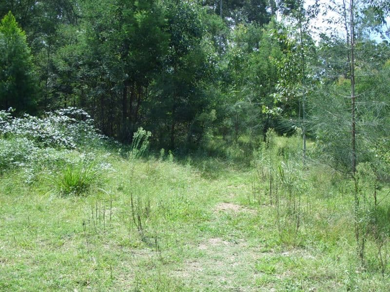 10 Rodgers Street, Long Beach NSW 2536, Long Beach - Thumbnail 4