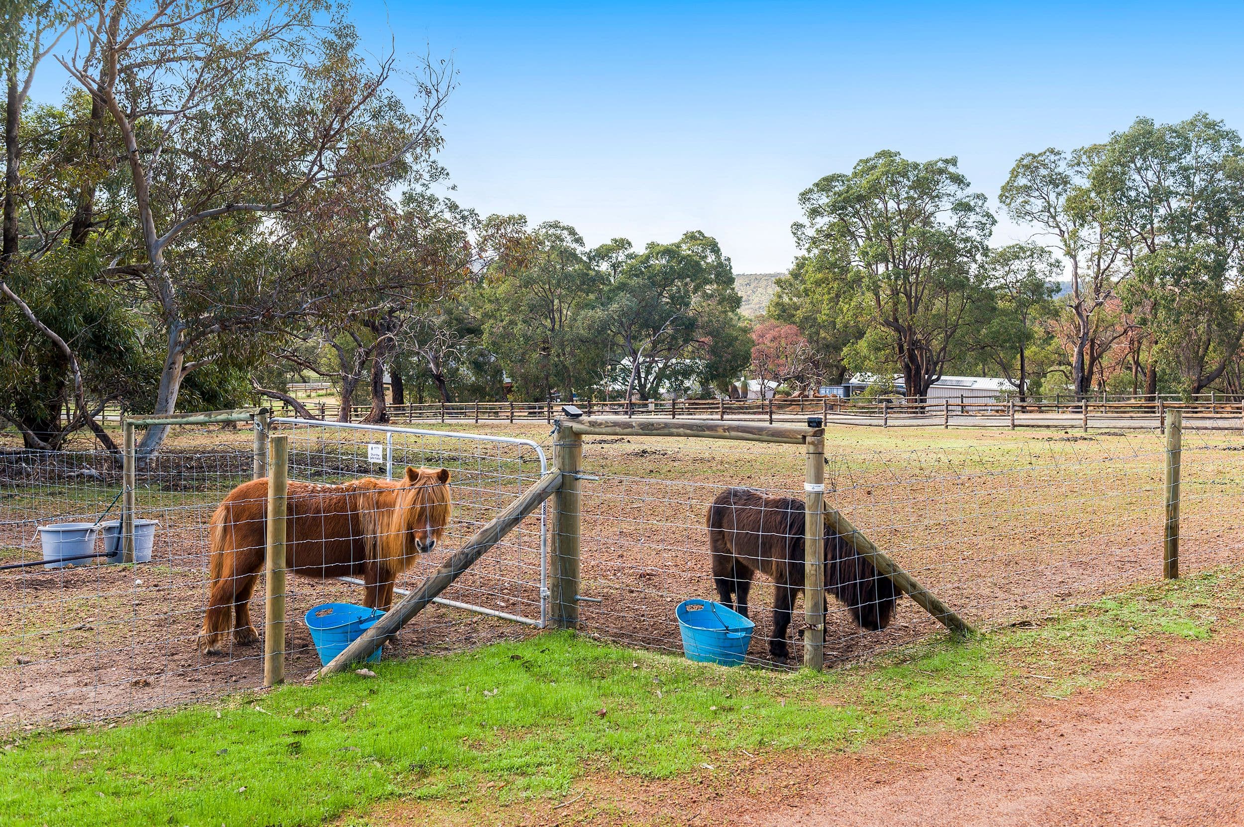 16 Wychwood Close, Bullsbrook WA 6084, Bullsbrook - Thumbnail 2