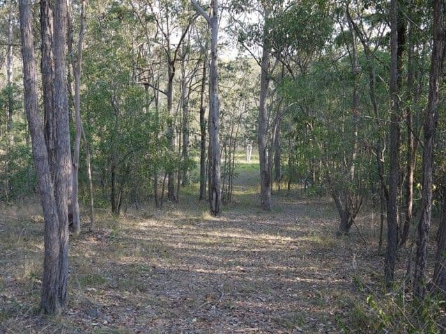 BUCCAN QLD 4207, Buccan - Thumbnail 7