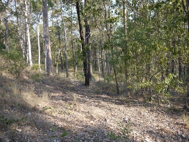 BUCCAN QLD 4207, Buccan - Thumbnail 8