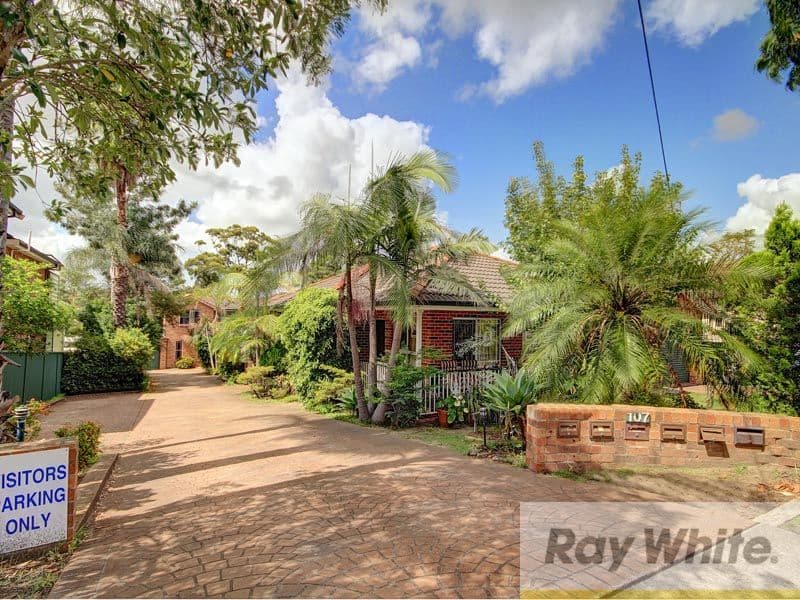 107 Wolseley Street, BEXLEY NSW 2207, Bexley - Thumbnail 3