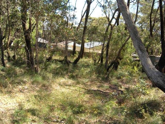 8 Sunbeam Avenue, BLACKHEATH NSW 2785, Blackheath - Thumbnail 2