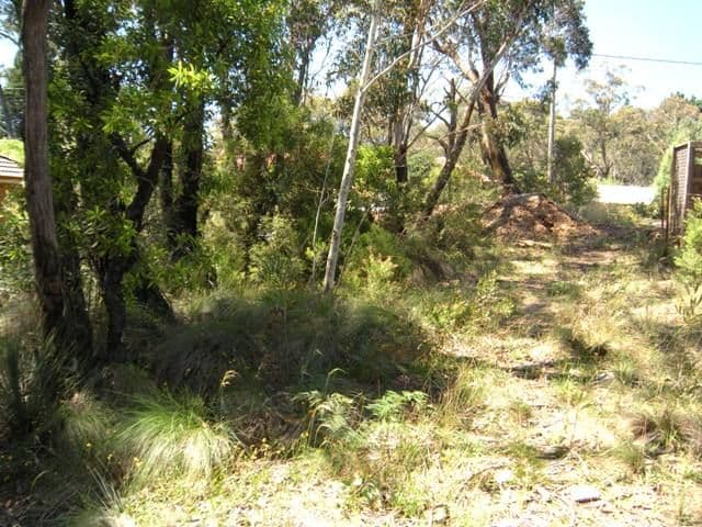 8 Sunbeam Avenue, BLACKHEATH NSW 2785, Blackheath - Thumbnail 3