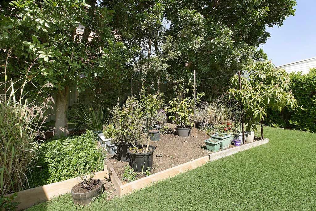 8 Cheapside Street, Rathmines NSW 2283, Rathmines - Thumbnail 2