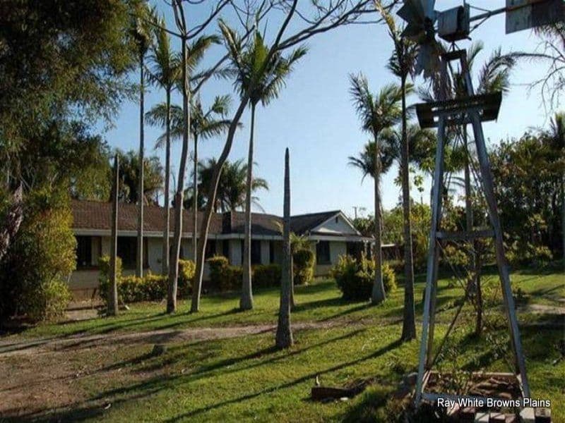 451 Park Ridge Road, PARK RIDGE QLD 4125, Park Ridge - Thumbnail 4