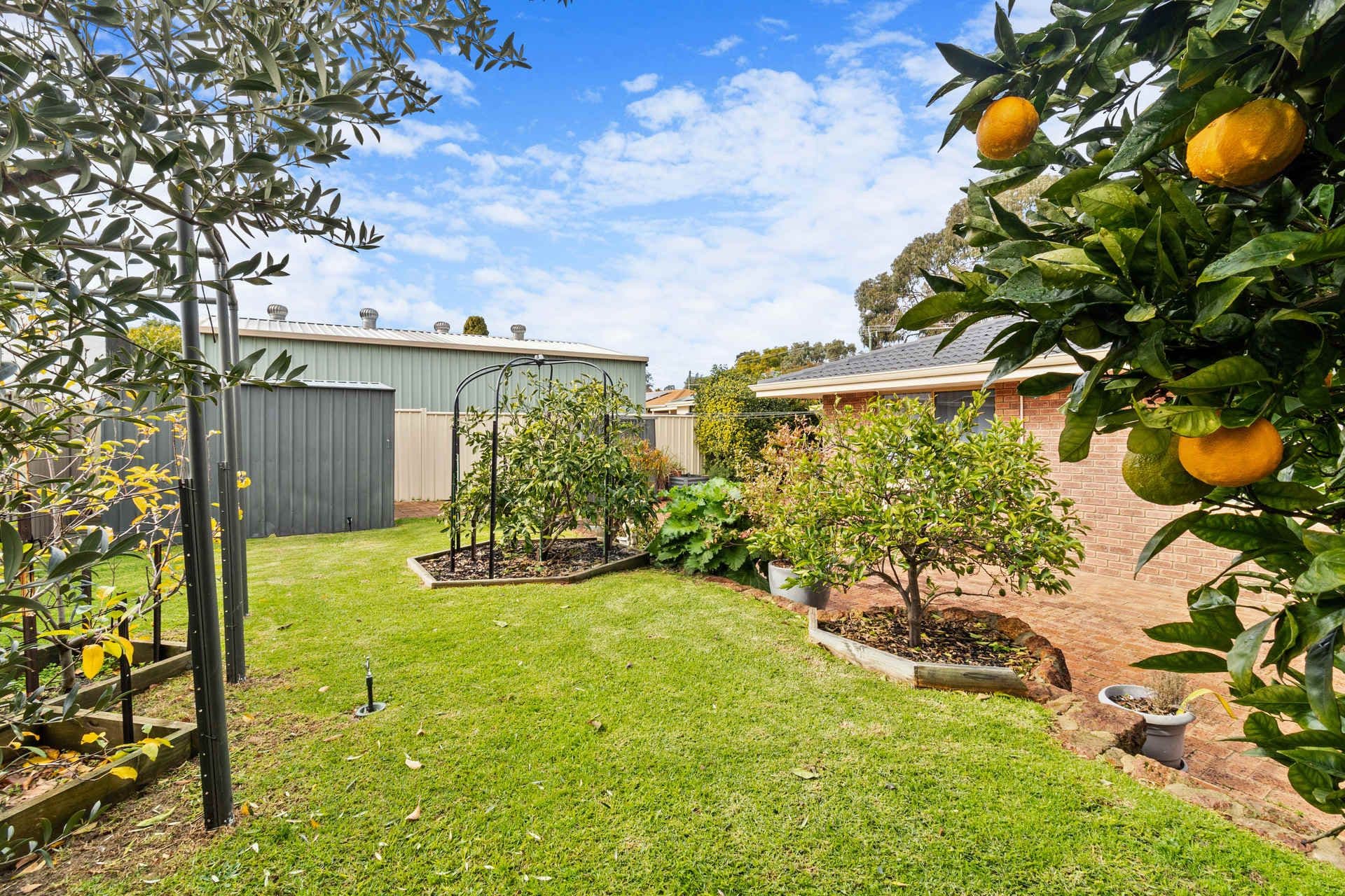 13 Broula Road, Kalamunda WA 6076, Kalamunda - Thumbnail 6