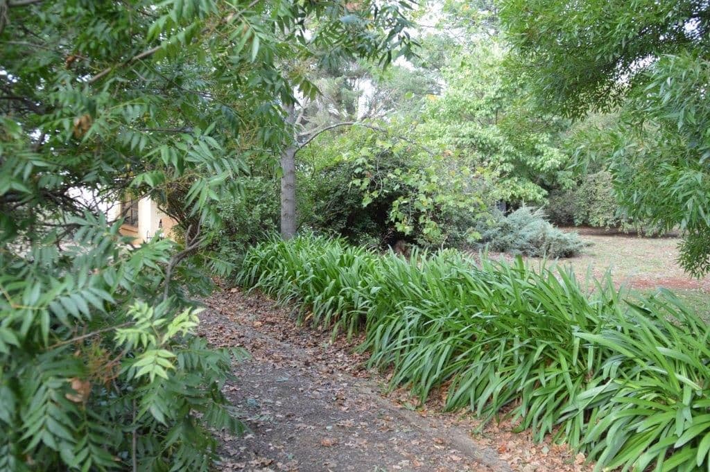 "Nirvana" 963 Pinnacle Road, Orange NSW 2800, Orange - Image 1