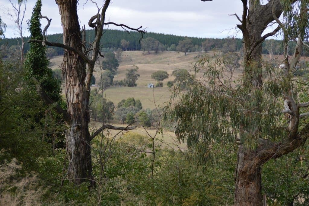 "Nirvana" 963 Pinnacle Road, Orange NSW 2800, Orange - Thumbnail 8