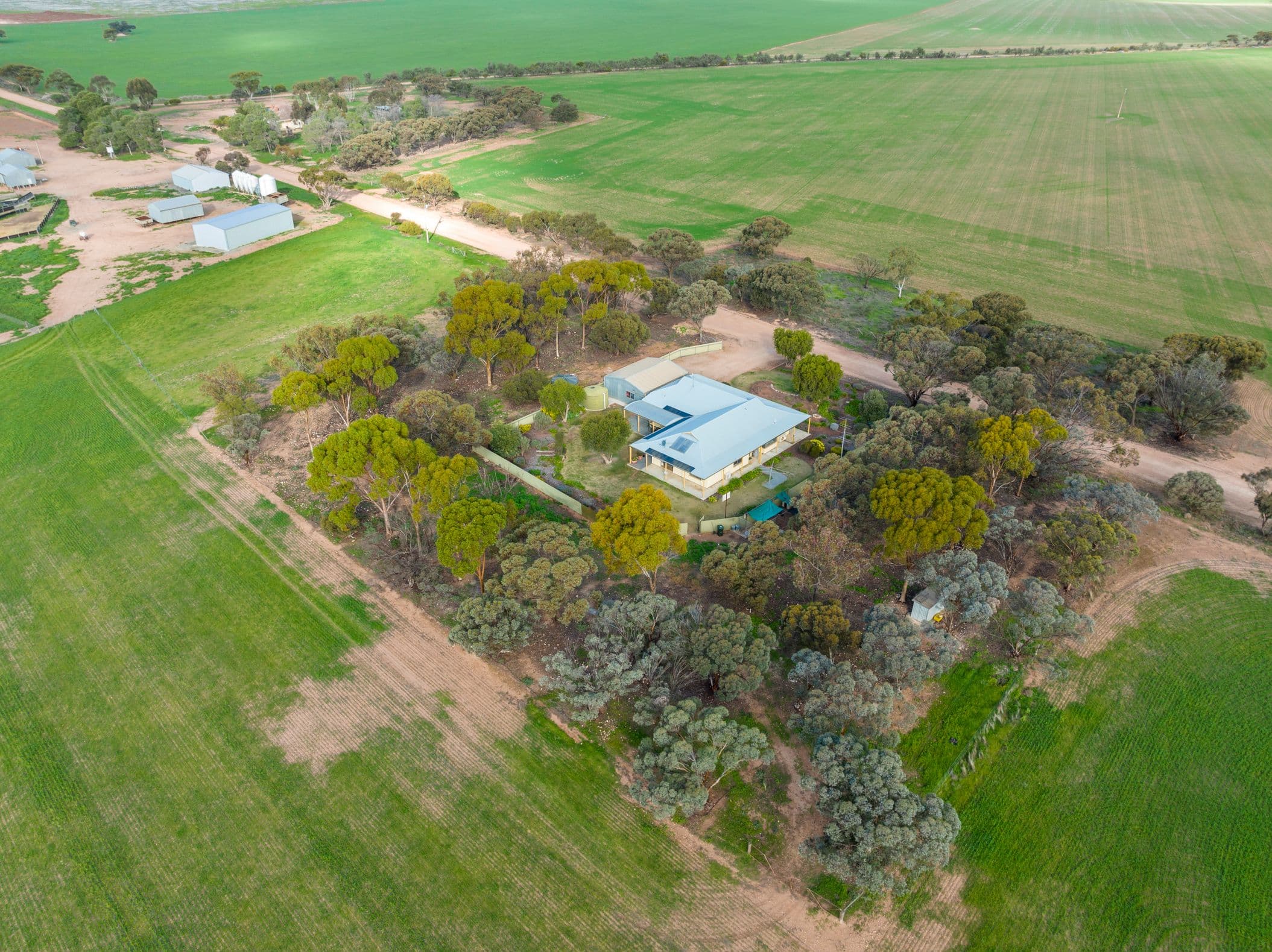 753 Wandel Road, Blyth SA 5462, Blyth - Thumbnail 3