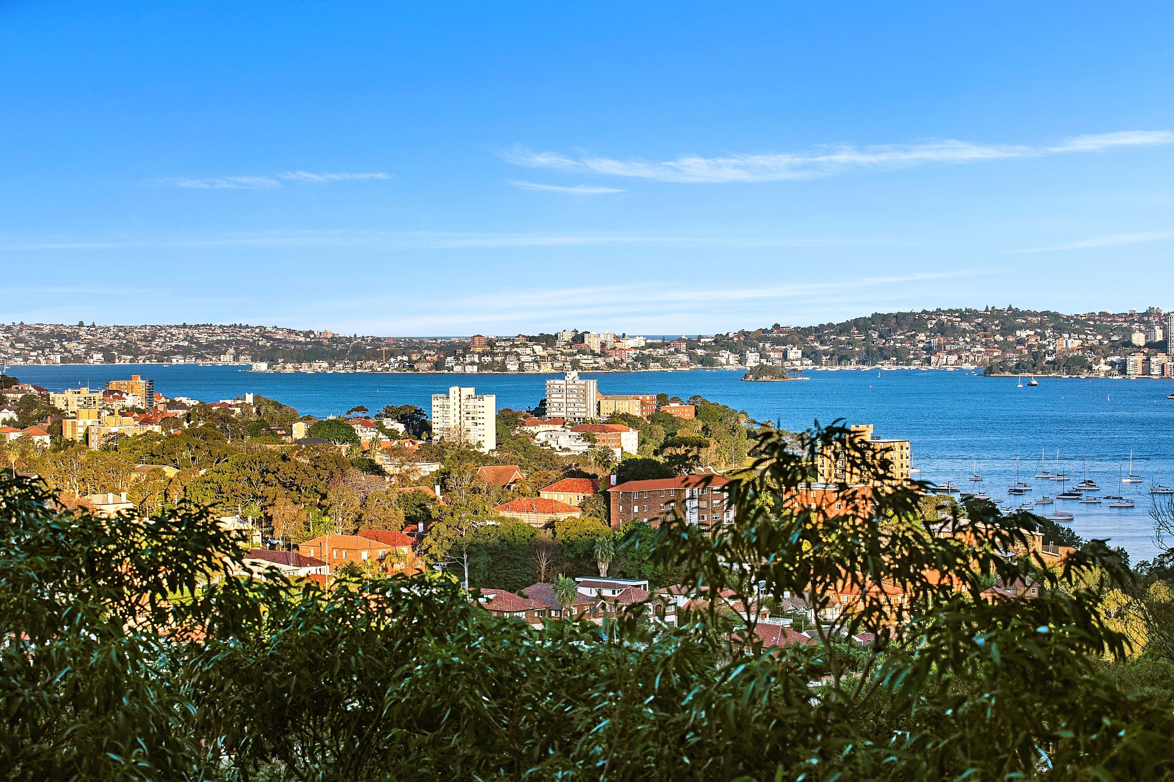 95A Ridge Street, North Sydney NSW 2060, North Sydney - Thumbnail 2