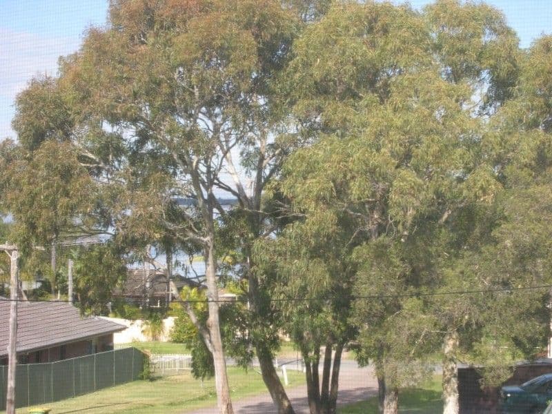 LAKE MUNMORAH NSW 2259, Lake Munmorah - Thumbnail 4