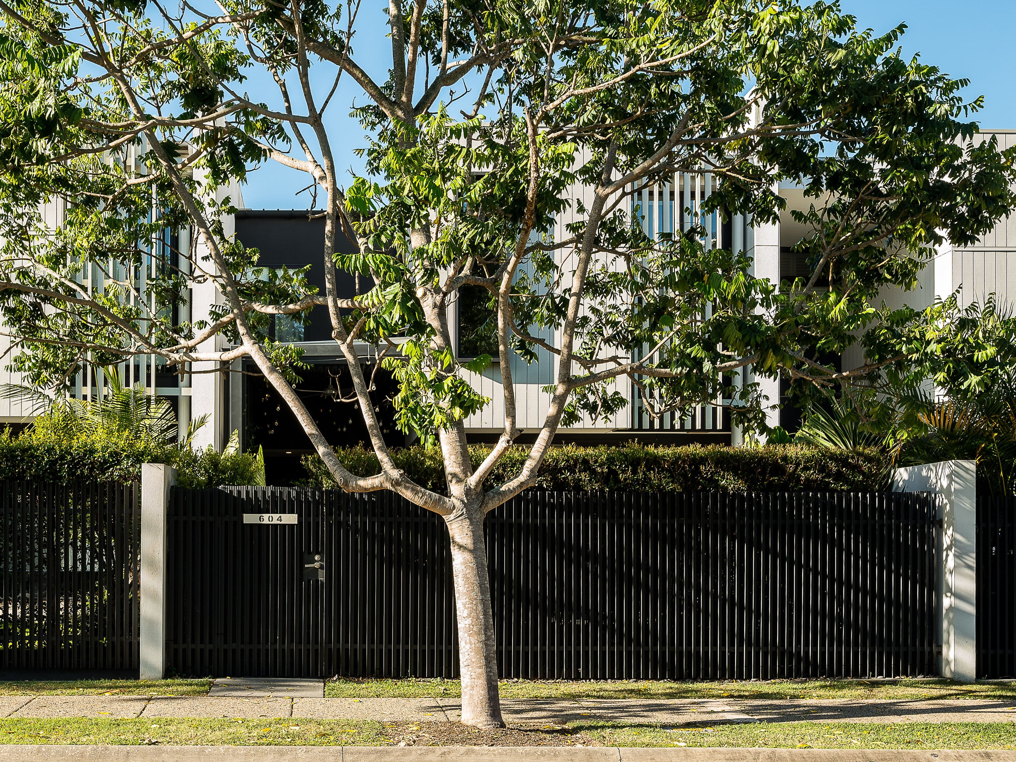 12 Parkside Circuit, Hamilton QLD 4007, Hamilton - Thumbnail 2