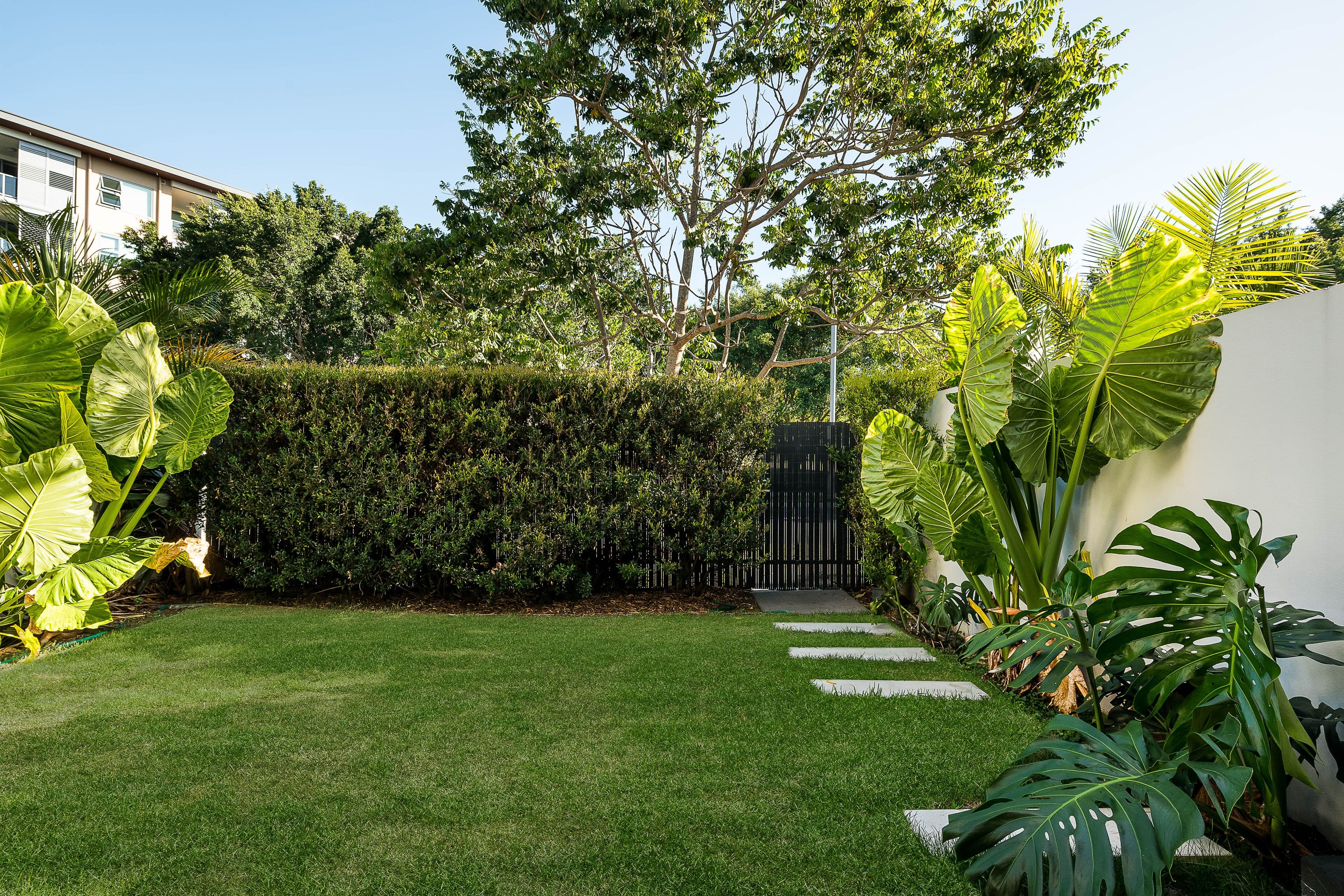 12 Parkside Circuit, Hamilton QLD 4007, Hamilton - Thumbnail 4