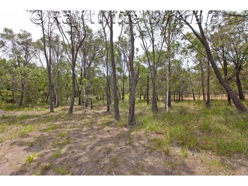 32 Guyana Court, CAPALABA QLD 4157, Capalaba - Thumbnail 6