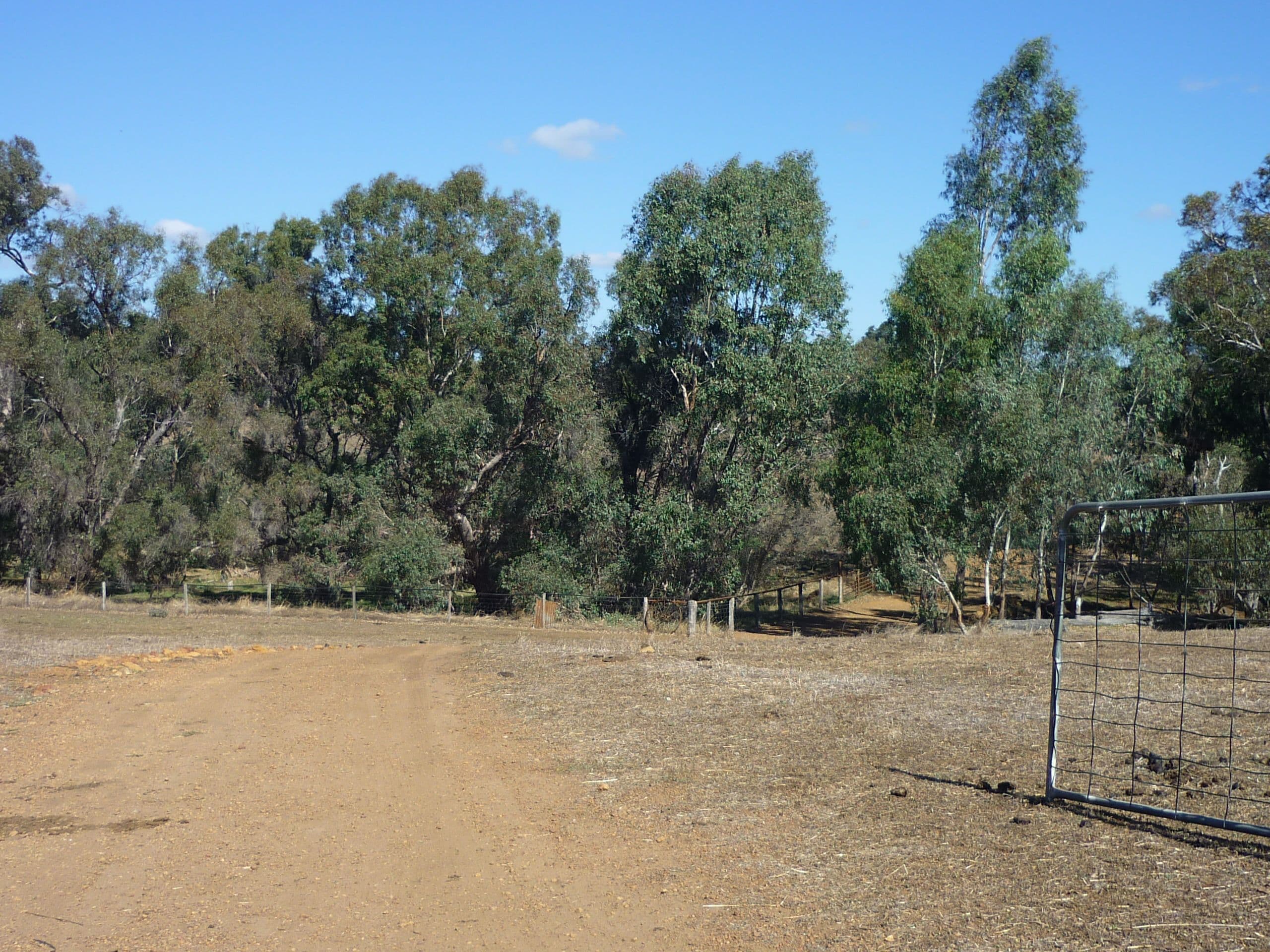 885 Needham Road, Wooroloo WA 6558, Wooroloo - Thumbnail 3
