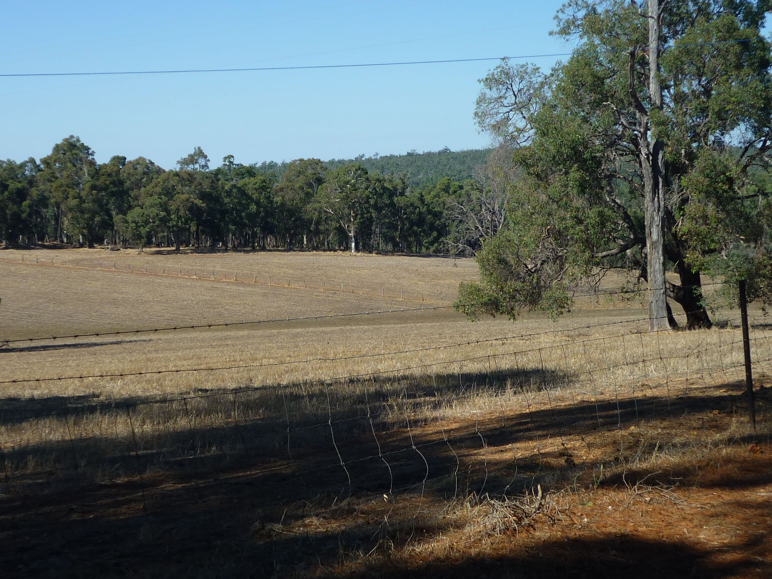 885 Needham Road, Wooroloo WA 6558, Wooroloo - Thumbnail 4