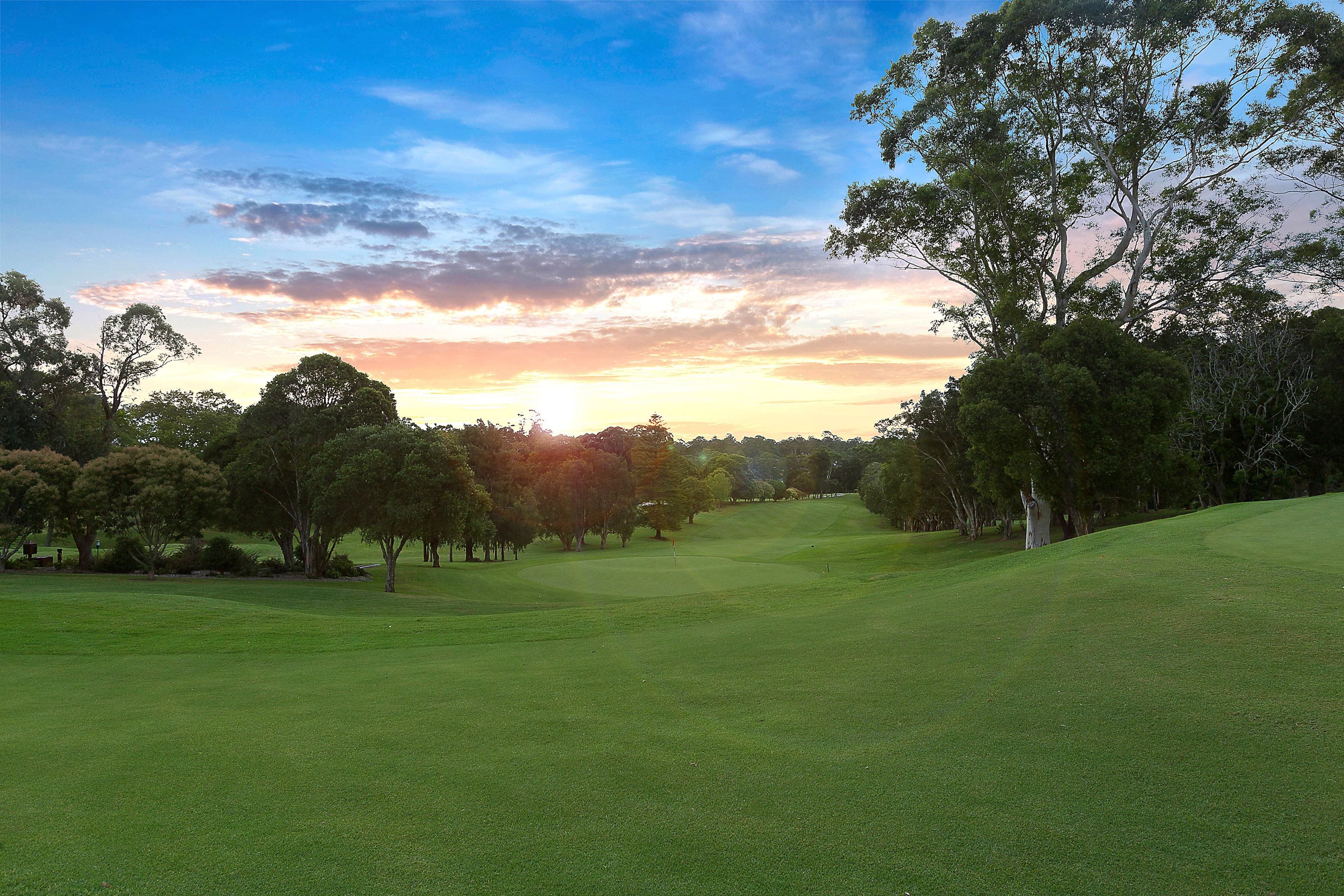 52 Cowan Road, St Ives NSW 2075, St Ives - Thumbnail 7