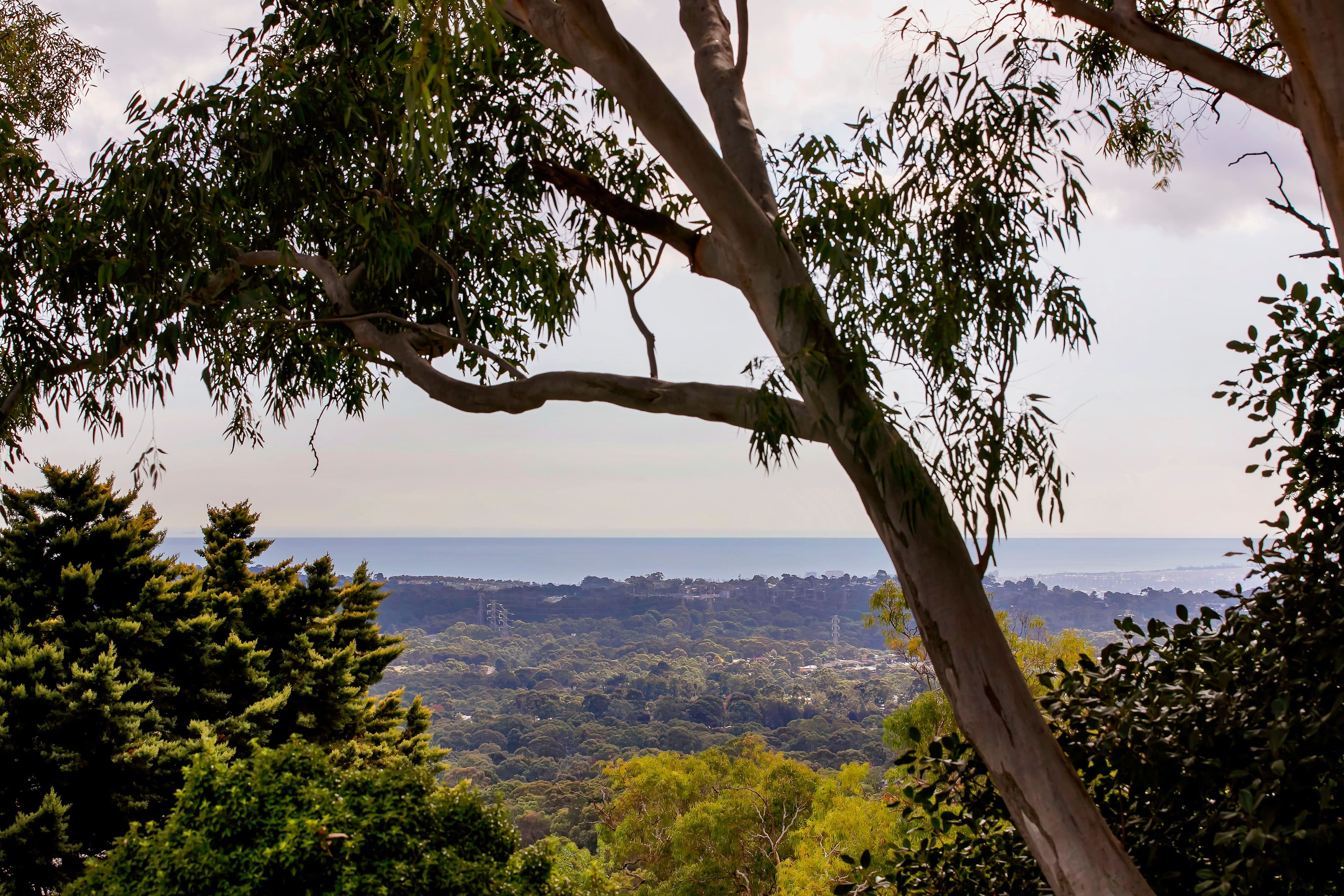 2 Belvedere Court, Aberfoyle Park SA 5159, Aberfoyle Park - Thumbnail 2
